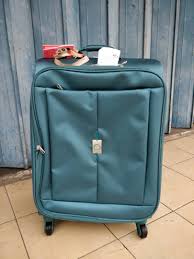 Delsey Check-in Suitcase 4 light blue image 1